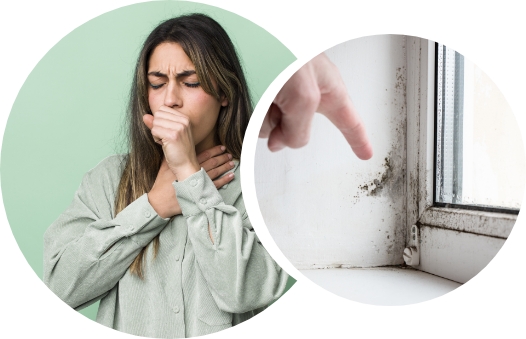 Allergic to bad odor and bacterial growth